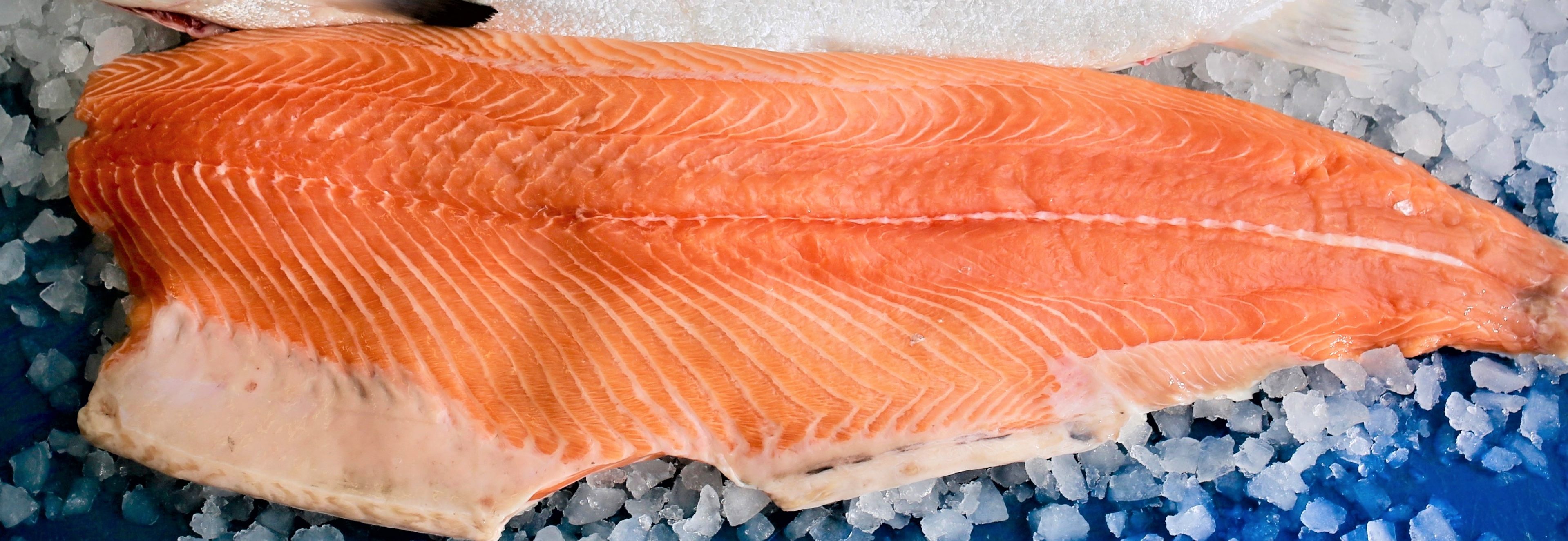 salmon fillet - B&M Seafoods Ltd